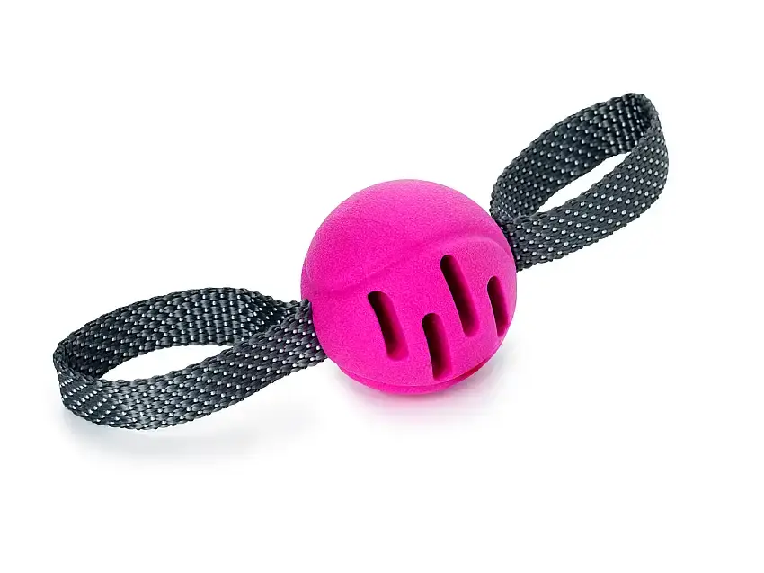 Leksak FetchBall Rosa-334117 - Nyligen tillagt