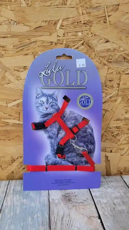 Lulu Gold Kattunge Sele och Koppel - Köp nu