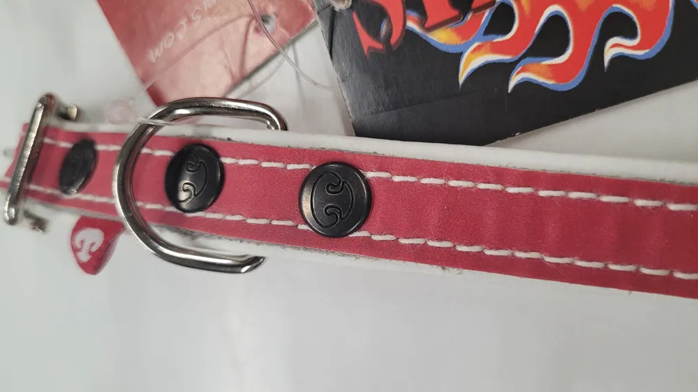 TopCanis Joy Reflexerhalsband - Endast idag