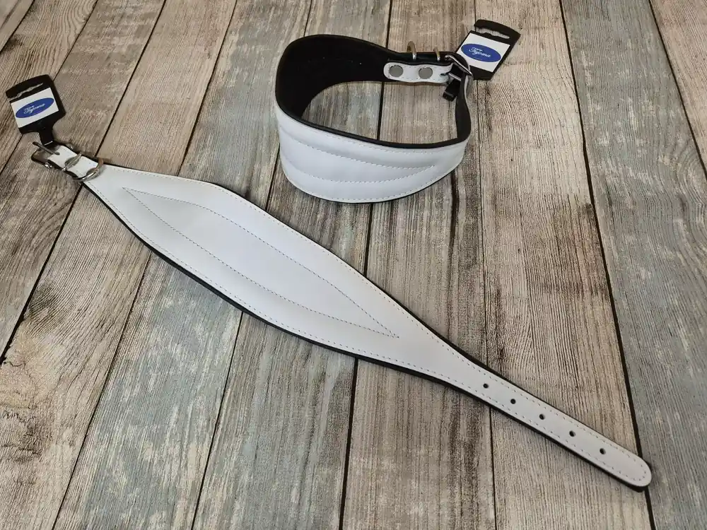 Tujoma Greyhound halsband - Kanonerbjudande