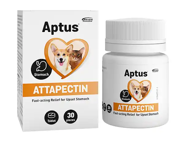 Slutrea | Orion Pharma Aptus Attapectin mineraltillskott 30 tabletter