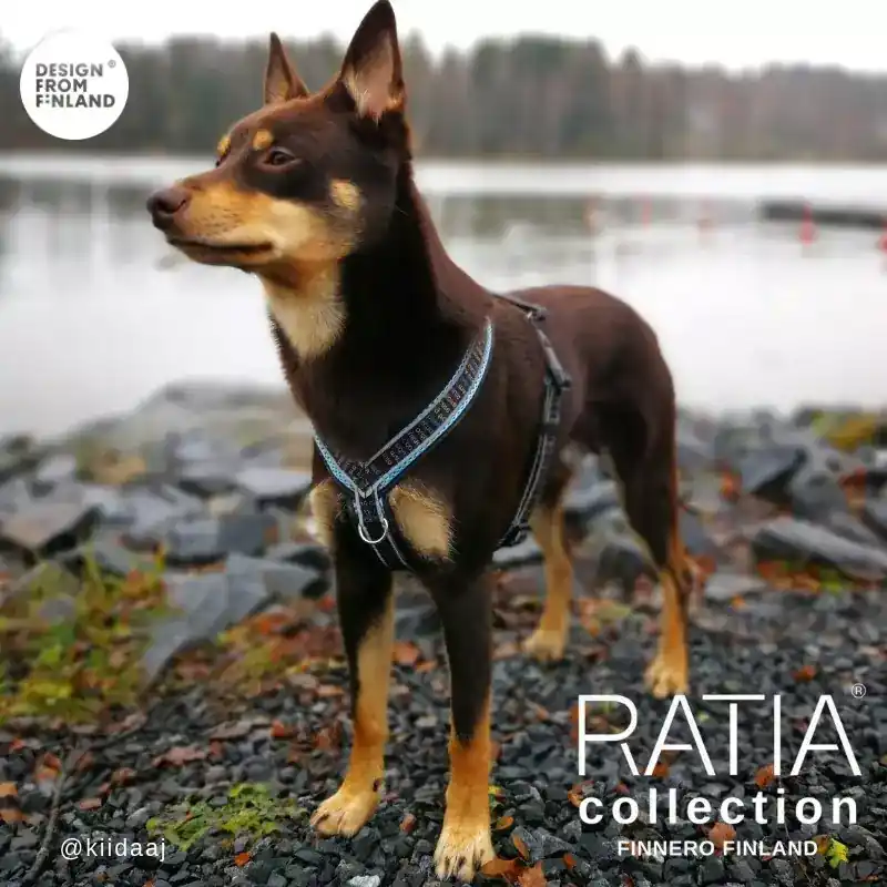 Toppkvalitet - Finnero Ratia 8-formad meshsele för hund