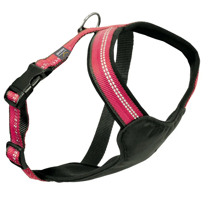 Kennel Equip Hundsele - Endast denna vecka