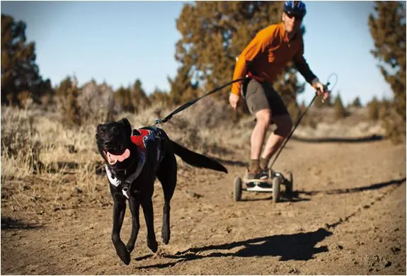 Prissänkt | RuffWear Omnijore Joring System dragsele