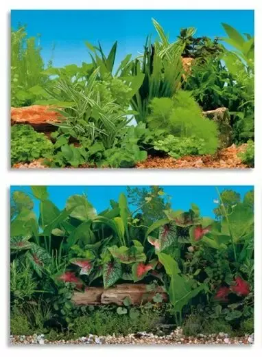 Enkel beställning - Akvariebakgrund 2-sidig 120x50