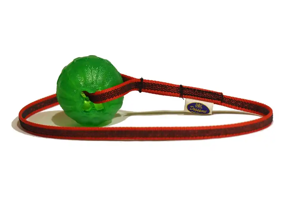 Ta chansen | D&C DogSport Gelbollsleksak