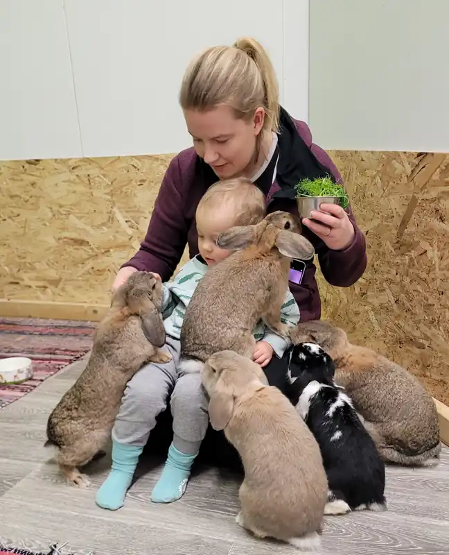 Puppkafé med kaninterapi för en 8e - Enkel retur