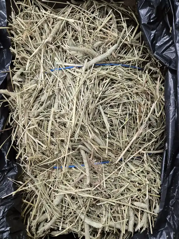 Hög kvalitet - Höbale 6-8 kg