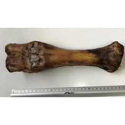 Mycket uppskattad | ”Laikas Gardums” Beef Bone, 1 piece, Treats for Dogs