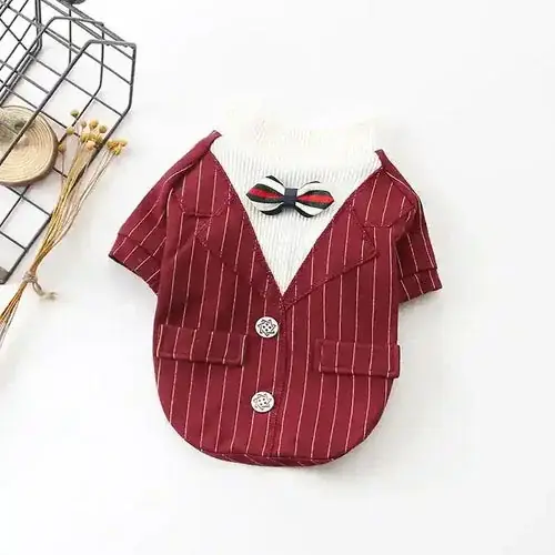 Nedsatt pris - Abito elegante per cani con piccolo Papillon