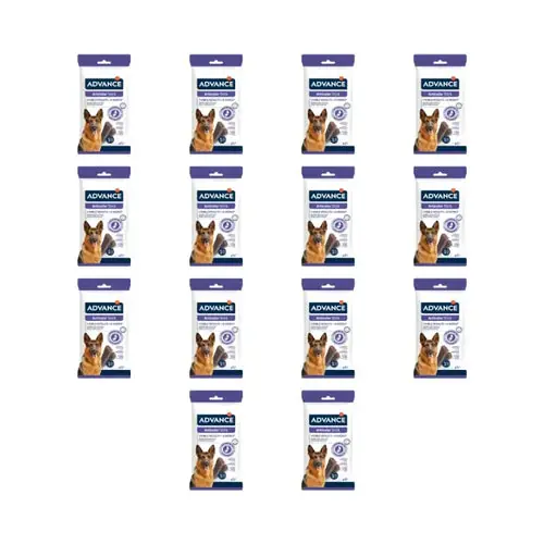 Advance Articular Stick, 155 g, pack of 14 | Precis lanserat
