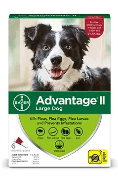Endast idag - Advantage II Large Dog 6-Pack