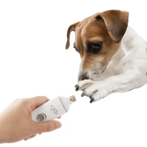Spara nu | AFP Pet Salon Nail Grinder