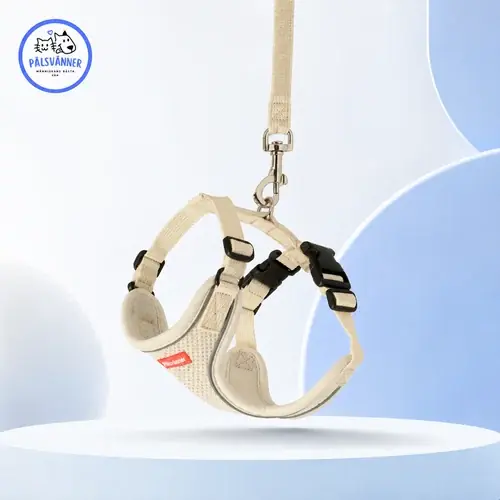 Air Mesh Set för Katt | Kan beställas online