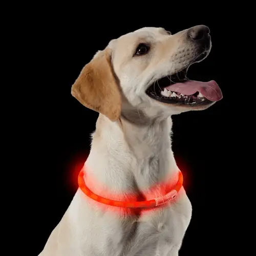 Ancol USB Flashing Collar - Nytt hos oss