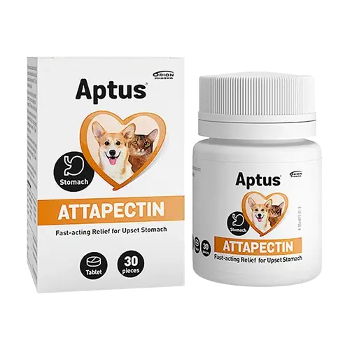 Aptus Attapecitin Tabletter – 30st | Expressleverans