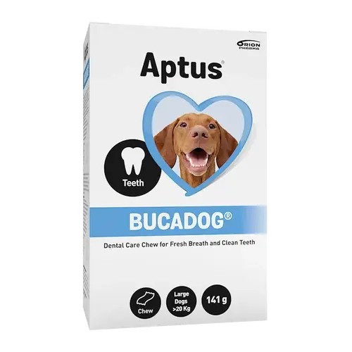 Aptus Bucadog Tuggbitar Large - Rea