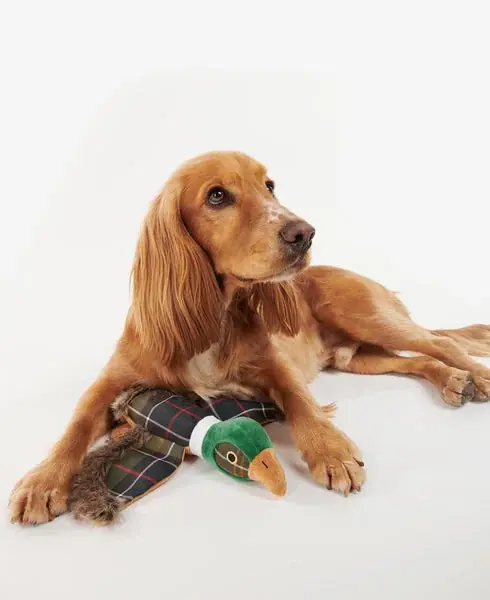 Försäljningssuccé | Barbour Pheasant Dog Toy