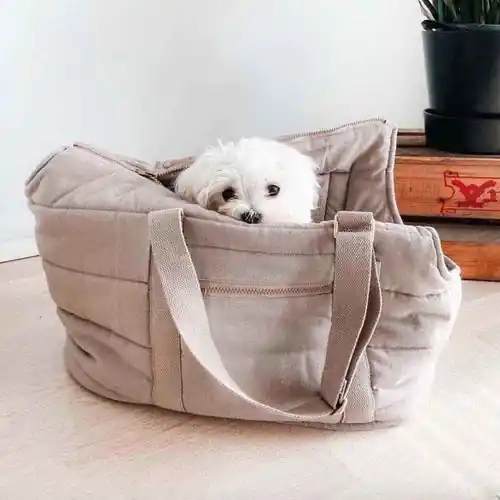 Borsa Trasportino ”Soft Comfort” per Cani – Praticità e Stile in Movimento | Precis lanserat