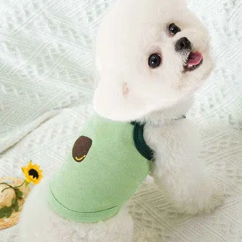 Missa inte | Canotta per Cani Ricamata Leggera e Traspirante Dogmoda