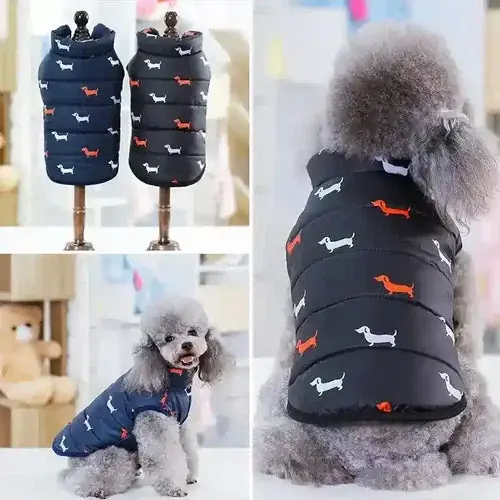 Beställ idag - Capottino per cani smanicato fantasia ”Bassotto”