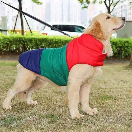 Spara mer | Cappottino ”Facile & Comodo” per Cani