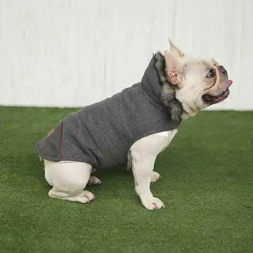 Cappottino Bulldog ”Boutique” con Colletto in Eco Pelliccia – Stile e Comfort - Endast denna vecka