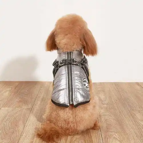 Rabatt - Cappottino con Imbracatura per Cani – Comfort, Sicurezza e Stile