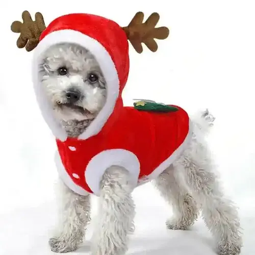 Hög kvalitet | Cappottino di Natale per Barboncino con Cappuccio e Corna di Renna