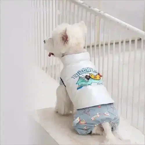 Cappottino Impermeabile Double Face Rice per Cani e Gatti | Expressfrakt
