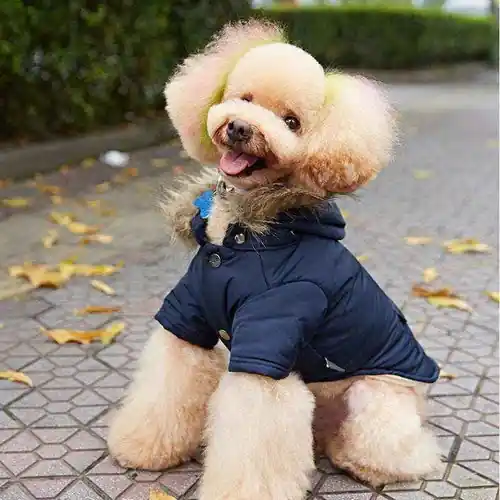 Cappottino impermeabile per cani ”Seattle” con cappuccio in ecopelliccia | Endast idag