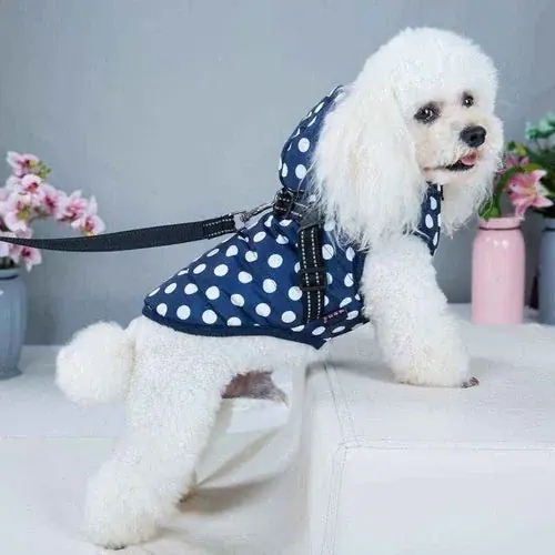 Cappottino Impermeabile per Cani con Pettorina Integrata – Modello ”New york” - Mycket uppskattad