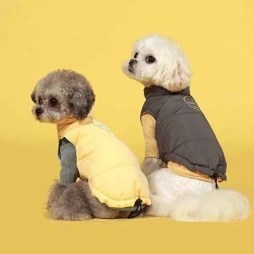 Bra pris | Cappottino Impermeabile per Cani Modello ”I’m Coming” – Marca CHEEPET