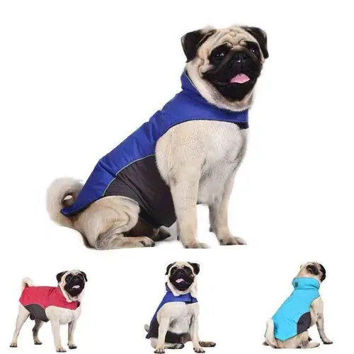 Kundernas favorit - Cappottino Impermeabile per Carlino – Modello ”Pug”