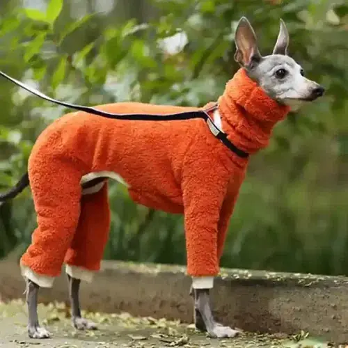 Handla säkert | Cappottino in Pile ”Lilla” per Cani con Protezione delle Quattro Zampe