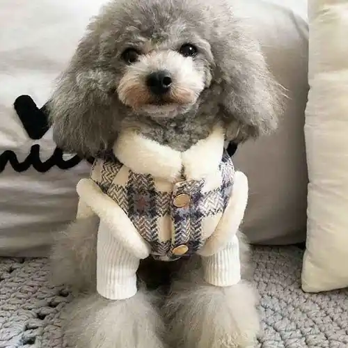 Cappottino in Pile per Cani con Fantasia a Quadretti – Perfetto per le Passeggiate Autunnali - Säker betalning