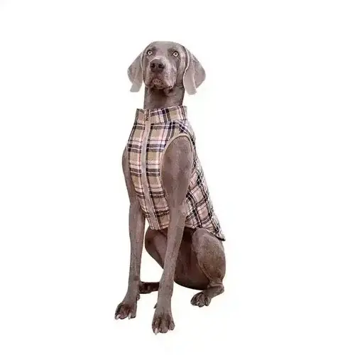 Ta chansen - Cappottino in Tessuto Stile Tartan per Cani con Pettorina Integrata e Chiusura a Zip