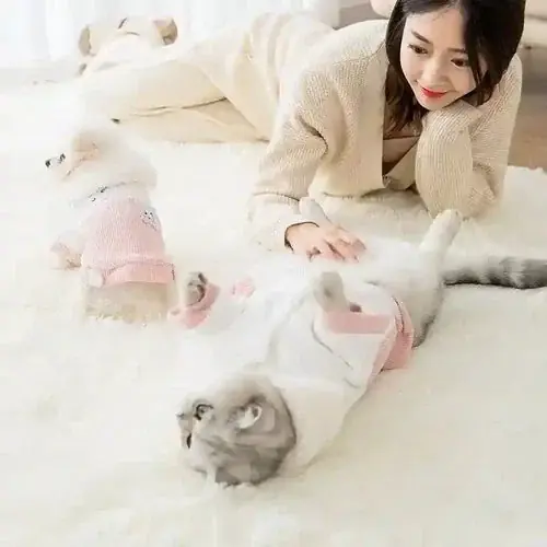 Cappottino in Velluto a Coste Smanicato Modello ”Pink” – Con Stampa di Gattini Amorevoli | Reapris