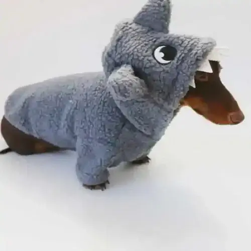Cappottino invernale per cani Shark azzurro con cappuccio | Väl omtyckt