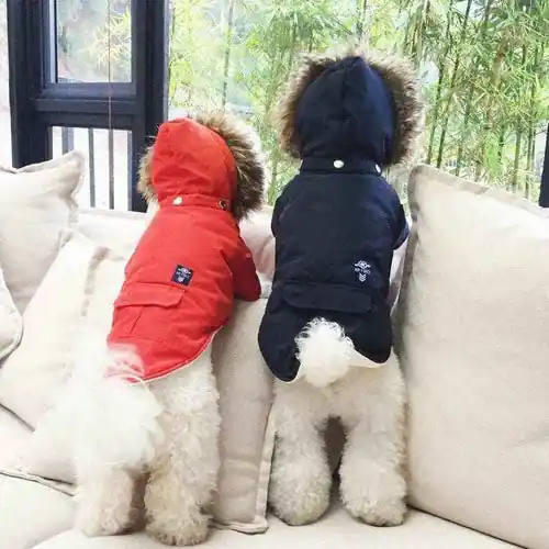 Sista chansen - Cappottino Madrid per Cani Rosso, Blu e Beige con Cappuccio Chic