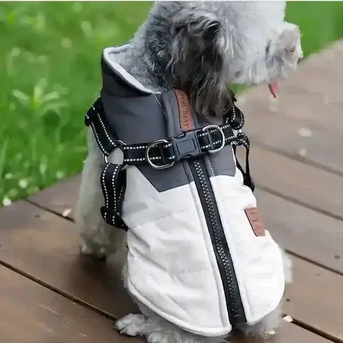 Nyligen lanserat | Cappottino per cani ”Royal Baby” con pettorina e pile caldo DogModa
