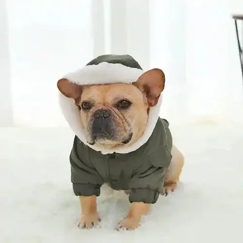 Populär - Cappottino per Cani con Cappuccio in Ecopelliccia – Dogmoda