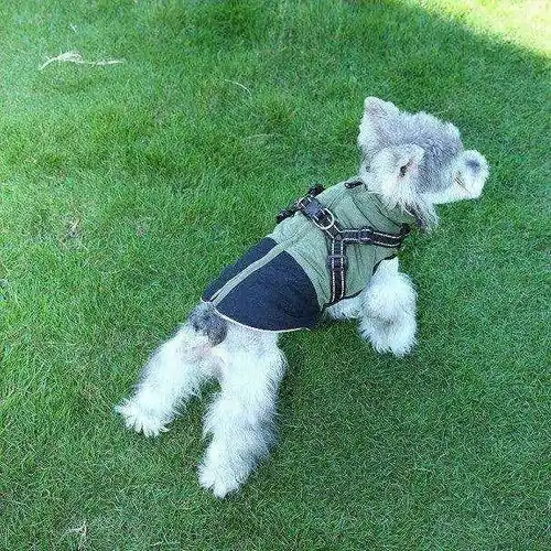 Kampanj - Cappottino per Cani con Pettorina e Zip – Interno Pile