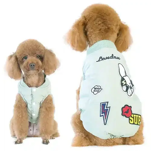 Tidsbegränsat erbjudande | Cappottino per cani modello ”Aggressive” – Stile urbano e comfort per ogni passeggiata