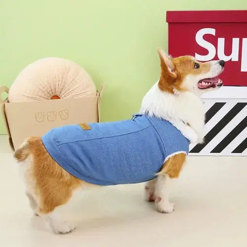 Ny produkt | Cappottino per Cani specifico Corgi DADAGOU – Modello ”Corgi Special”