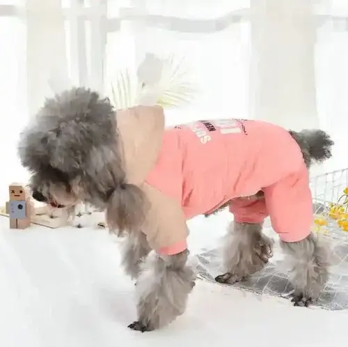 Cappottino per Cani Superstar Impermeabile con Cappuccio Ricamato - Outlet
