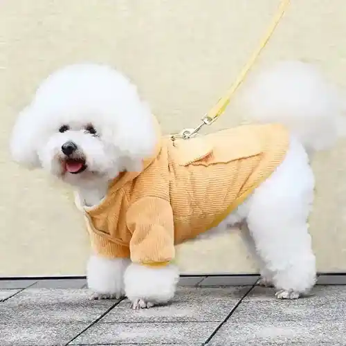 Sista chansen | Cappottino per Cani velluto a coste Modello ”Little Bear”
