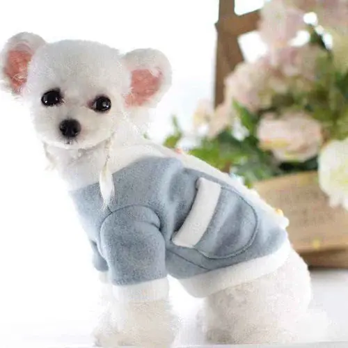 Lågt pris - Cappottino per Chihuahua ”Berry” – Caldo, Morbido e Super Chic! ✨