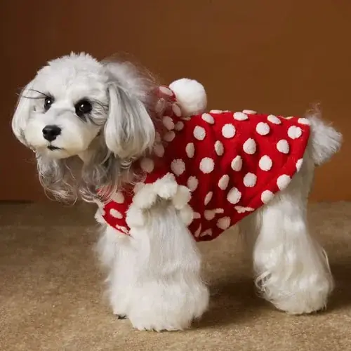 Sista dagarna | Cappottino rosso per cani a pois ”Towney Bear” DogModa