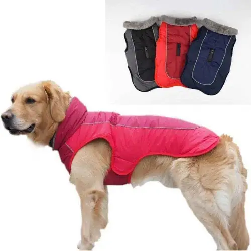 Cappotto Imbottito per Cani con Foro Pettorina Riflettente ed Elegante | Nyinkommet
